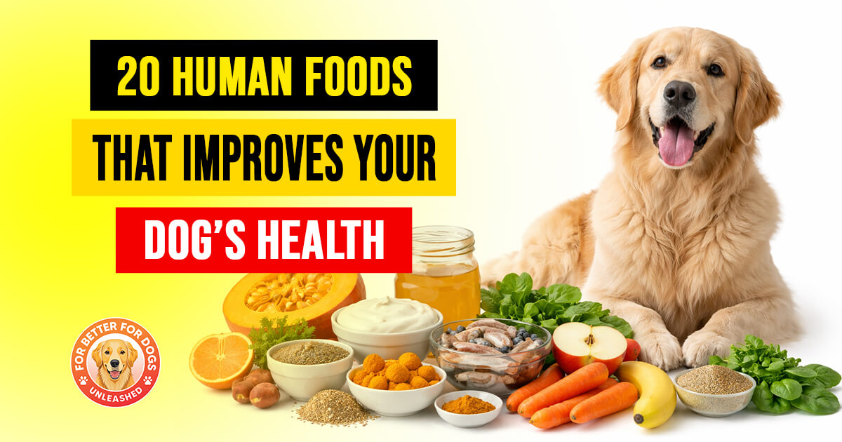 20-Kitchen-Foods-That-Could-Change-Your-Dog’s-Health-(Most-Owners-Have-No-Idea)
